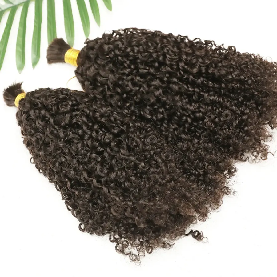 Kinky Curly Braiding Hair Human Hair Extensions Double Drawn