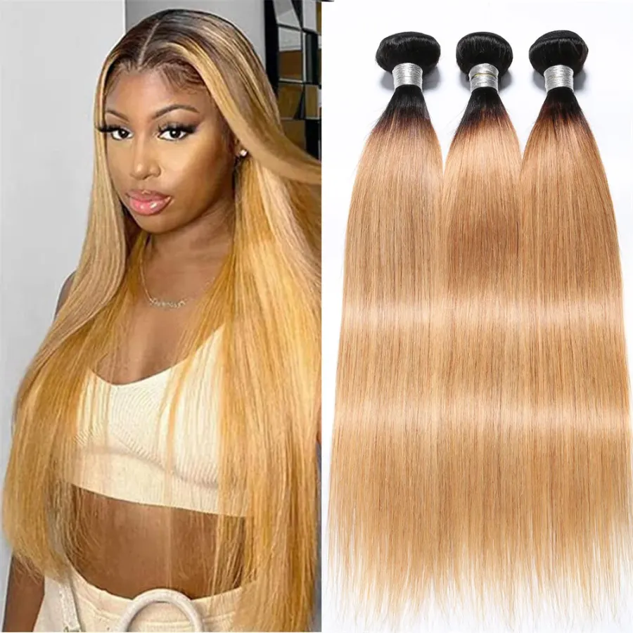 Straight Human Hair Bundles 2 Tone 1B/27 Ombre Blonde Colored