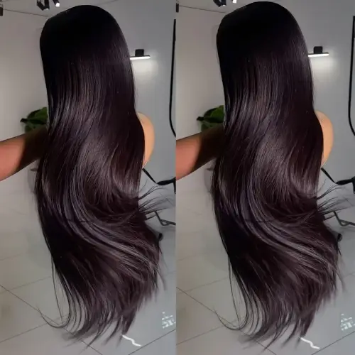 Glueless Human Hair Wig HD Straight 13*5 Black Elegant Style