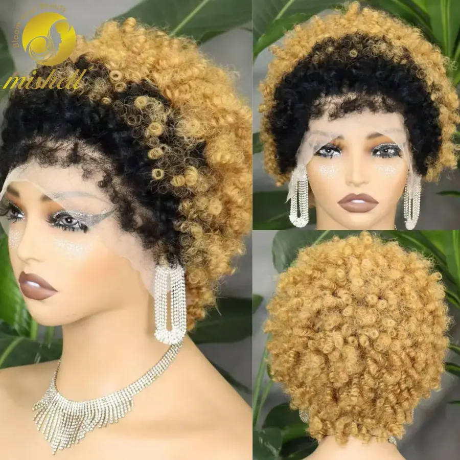 Short 4C Hairline Afro Curly Bob Wig Human Hair Wigs 13x4 t