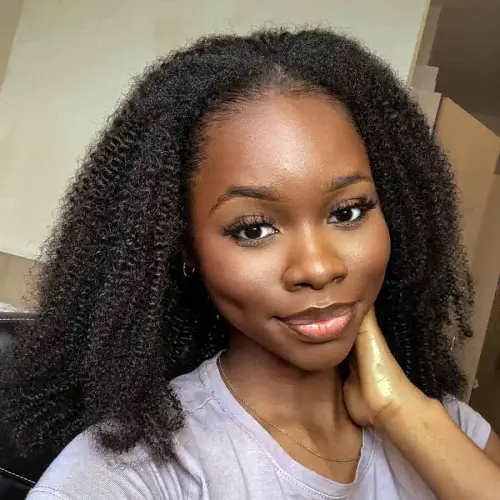 6X6 HD Lace Closure Wigs 250% Afro Kinky Curly Wig Invisible